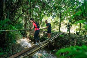 BIB: 
                            <button type="button" onclick="openModal(26289713)" class="btn btn-primary btn-sm float-right btn-popup" data-toggle="modal" data-target=".modal-high-quality">
                        <i class="fas fa-shopping-cart"></i> Add to Cart
                    </button>
                                            <button type="button" onclick="isThisMe(26289713, true)" class="btn btn-success btn-sm float-right btn-popup btn-isme hidden" data-toggle="tooltip" data-placement="bottom" title="นี่คือรูปของคุณใช่ไหม คลิกที่นี่เพื่อเอาเข้าอัลบั้ม">
                        <i class="fas fa-plus"></i> Add to album
                    </button>
                    <button type="button" onclick="isThisMe(26289713, false)" class="btn btn-warning btn-sm float-right btn-popup btn-isnotme hidden">
                        <i class="fas fa-ban"></i> Remove from album
                    </button>