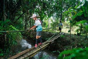 BIB: 
                            <button type="button" onclick="openModal(26290523)" class="btn btn-primary btn-sm float-right btn-popup" data-toggle="modal" data-target=".modal-high-quality">
                        <i class="fas fa-shopping-cart"></i> Add to Cart
                    </button>
                                            <button type="button" onclick="isThisMe(26290523, true)" class="btn btn-success btn-sm float-right btn-popup btn-isme hidden" data-toggle="tooltip" data-placement="bottom" title="นี่คือรูปของคุณใช่ไหม คลิกที่นี่เพื่อเอาเข้าอัลบั้ม">
                        <i class="fas fa-plus"></i> Add to album
                    </button>
                    <button type="button" onclick="isThisMe(26290523, false)" class="btn btn-warning btn-sm float-right btn-popup btn-isnotme hidden">
                        <i class="fas fa-ban"></i> Remove from album
                    </button>