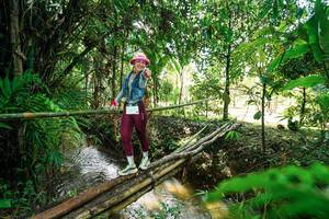 BIB: 
                            <button type="button" onclick="openModal(26289057)" class="btn btn-primary btn-sm float-right btn-popup" data-toggle="modal" data-target=".modal-high-quality">
                        <i class="fas fa-shopping-cart"></i> Add to Cart
                    </button>
                                            <button type="button" onclick="isThisMe(26289057, true)" class="btn btn-success btn-sm float-right btn-popup btn-isme hidden" data-toggle="tooltip" data-placement="bottom" title="นี่คือรูปของคุณใช่ไหม คลิกที่นี่เพื่อเอาเข้าอัลบั้ม">
                        <i class="fas fa-plus"></i> Add to album
                    </button>
                    <button type="button" onclick="isThisMe(26289057, false)" class="btn btn-warning btn-sm float-right btn-popup btn-isnotme hidden">
                        <i class="fas fa-ban"></i> Remove from album
                    </button>