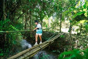 BIB: 
                            <button type="button" onclick="openModal(26291340)" class="btn btn-primary btn-sm float-right btn-popup" data-toggle="modal" data-target=".modal-high-quality">
                        <i class="fas fa-shopping-cart"></i> Add to Cart
                    </button>
                                            <button type="button" onclick="isThisMe(26291340, true)" class="btn btn-success btn-sm float-right btn-popup btn-isme hidden" data-toggle="tooltip" data-placement="bottom" title="นี่คือรูปของคุณใช่ไหม คลิกที่นี่เพื่อเอาเข้าอัลบั้ม">
                        <i class="fas fa-plus"></i> Add to album
                    </button>
                    <button type="button" onclick="isThisMe(26291340, false)" class="btn btn-warning btn-sm float-right btn-popup btn-isnotme hidden">
                        <i class="fas fa-ban"></i> Remove from album
                    </button>