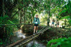 BIB: 
                            <button type="button" onclick="openModal(26290017)" class="btn btn-primary btn-sm float-right btn-popup" data-toggle="modal" data-target=".modal-high-quality">
                        <i class="fas fa-shopping-cart"></i> Add to Cart
                    </button>
                                            <button type="button" onclick="isThisMe(26290017, true)" class="btn btn-success btn-sm float-right btn-popup btn-isme hidden" data-toggle="tooltip" data-placement="bottom" title="นี่คือรูปของคุณใช่ไหม คลิกที่นี่เพื่อเอาเข้าอัลบั้ม">
                        <i class="fas fa-plus"></i> Add to album
                    </button>
                    <button type="button" onclick="isThisMe(26290017, false)" class="btn btn-warning btn-sm float-right btn-popup btn-isnotme hidden">
                        <i class="fas fa-ban"></i> Remove from album
                    </button>