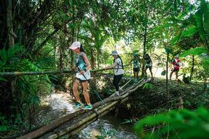 BIB: 
                            <button type="button" onclick="openModal(26289640)" class="btn btn-primary btn-sm float-right btn-popup" data-toggle="modal" data-target=".modal-high-quality">
                        <i class="fas fa-shopping-cart"></i> Add to Cart
                    </button>
                                            <button type="button" onclick="isThisMe(26289640, true)" class="btn btn-success btn-sm float-right btn-popup btn-isme hidden" data-toggle="tooltip" data-placement="bottom" title="นี่คือรูปของคุณใช่ไหม คลิกที่นี่เพื่อเอาเข้าอัลบั้ม">
                        <i class="fas fa-plus"></i> Add to album
                    </button>
                    <button type="button" onclick="isThisMe(26289640, false)" class="btn btn-warning btn-sm float-right btn-popup btn-isnotme hidden">
                        <i class="fas fa-ban"></i> Remove from album
                    </button>