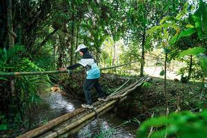 BIB: 
                            <button type="button" onclick="openModal(26290475)" class="btn btn-primary btn-sm float-right btn-popup" data-toggle="modal" data-target=".modal-high-quality">
                        <i class="fas fa-shopping-cart"></i> Add to Cart
                    </button>
                                            <button type="button" onclick="isThisMe(26290475, true)" class="btn btn-success btn-sm float-right btn-popup btn-isme hidden" data-toggle="tooltip" data-placement="bottom" title="นี่คือรูปของคุณใช่ไหม คลิกที่นี่เพื่อเอาเข้าอัลบั้ม">
                        <i class="fas fa-plus"></i> Add to album
                    </button>
                    <button type="button" onclick="isThisMe(26290475, false)" class="btn btn-warning btn-sm float-right btn-popup btn-isnotme hidden">
                        <i class="fas fa-ban"></i> Remove from album
                    </button>