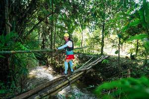 BIB: 
                            <button type="button" onclick="openModal(26289498)" class="btn btn-primary btn-sm float-right btn-popup" data-toggle="modal" data-target=".modal-high-quality">
                        <i class="fas fa-shopping-cart"></i> Add to Cart
                    </button>
                                            <button type="button" onclick="isThisMe(26289498, true)" class="btn btn-success btn-sm float-right btn-popup btn-isme hidden" data-toggle="tooltip" data-placement="bottom" title="นี่คือรูปของคุณใช่ไหม คลิกที่นี่เพื่อเอาเข้าอัลบั้ม">
                        <i class="fas fa-plus"></i> Add to album
                    </button>
                    <button type="button" onclick="isThisMe(26289498, false)" class="btn btn-warning btn-sm float-right btn-popup btn-isnotme hidden">
                        <i class="fas fa-ban"></i> Remove from album
                    </button>