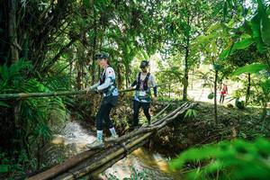 BIB: 
                            <button type="button" onclick="openModal(26289181)" class="btn btn-primary btn-sm float-right btn-popup" data-toggle="modal" data-target=".modal-high-quality">
                        <i class="fas fa-shopping-cart"></i> Add to Cart
                    </button>
                                            <button type="button" onclick="isThisMe(26289181, true)" class="btn btn-success btn-sm float-right btn-popup btn-isme hidden" data-toggle="tooltip" data-placement="bottom" title="นี่คือรูปของคุณใช่ไหม คลิกที่นี่เพื่อเอาเข้าอัลบั้ม">
                        <i class="fas fa-plus"></i> Add to album
                    </button>
                    <button type="button" onclick="isThisMe(26289181, false)" class="btn btn-warning btn-sm float-right btn-popup btn-isnotme hidden">
                        <i class="fas fa-ban"></i> Remove from album
                    </button>