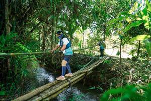 BIB: 
                            <button type="button" onclick="openModal(26291353)" class="btn btn-primary btn-sm float-right btn-popup" data-toggle="modal" data-target=".modal-high-quality">
                        <i class="fas fa-shopping-cart"></i> Add to Cart
                    </button>
                                            <button type="button" onclick="isThisMe(26291353, true)" class="btn btn-success btn-sm float-right btn-popup btn-isme hidden" data-toggle="tooltip" data-placement="bottom" title="นี่คือรูปของคุณใช่ไหม คลิกที่นี่เพื่อเอาเข้าอัลบั้ม">
                        <i class="fas fa-plus"></i> Add to album
                    </button>
                    <button type="button" onclick="isThisMe(26291353, false)" class="btn btn-warning btn-sm float-right btn-popup btn-isnotme hidden">
                        <i class="fas fa-ban"></i> Remove from album
                    </button>