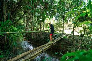 BIB: 
                            <button type="button" onclick="openModal(26290781)" class="btn btn-primary btn-sm float-right btn-popup" data-toggle="modal" data-target=".modal-high-quality">
                        <i class="fas fa-shopping-cart"></i> Add to Cart
                    </button>
                                            <button type="button" onclick="isThisMe(26290781, true)" class="btn btn-success btn-sm float-right btn-popup btn-isme hidden" data-toggle="tooltip" data-placement="bottom" title="นี่คือรูปของคุณใช่ไหม คลิกที่นี่เพื่อเอาเข้าอัลบั้ม">
                        <i class="fas fa-plus"></i> Add to album
                    </button>
                    <button type="button" onclick="isThisMe(26290781, false)" class="btn btn-warning btn-sm float-right btn-popup btn-isnotme hidden">
                        <i class="fas fa-ban"></i> Remove from album
                    </button>