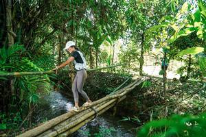 BIB: 
                            <button type="button" onclick="openModal(26291591)" class="btn btn-primary btn-sm float-right btn-popup" data-toggle="modal" data-target=".modal-high-quality">
                        <i class="fas fa-shopping-cart"></i> Add to Cart
                    </button>
                                            <button type="button" onclick="isThisMe(26291591, true)" class="btn btn-success btn-sm float-right btn-popup btn-isme hidden" data-toggle="tooltip" data-placement="bottom" title="นี่คือรูปของคุณใช่ไหม คลิกที่นี่เพื่อเอาเข้าอัลบั้ม">
                        <i class="fas fa-plus"></i> Add to album
                    </button>
                    <button type="button" onclick="isThisMe(26291591, false)" class="btn btn-warning btn-sm float-right btn-popup btn-isnotme hidden">
                        <i class="fas fa-ban"></i> Remove from album
                    </button>