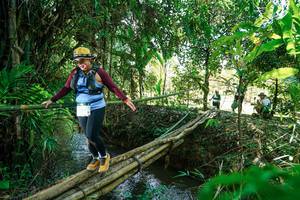 BIB: 
                            <button type="button" onclick="openModal(26291082)" class="btn btn-primary btn-sm float-right btn-popup" data-toggle="modal" data-target=".modal-high-quality">
                        <i class="fas fa-shopping-cart"></i> Add to Cart
                    </button>
                                            <button type="button" onclick="isThisMe(26291082, true)" class="btn btn-success btn-sm float-right btn-popup btn-isme hidden" data-toggle="tooltip" data-placement="bottom" title="นี่คือรูปของคุณใช่ไหม คลิกที่นี่เพื่อเอาเข้าอัลบั้ม">
                        <i class="fas fa-plus"></i> Add to album
                    </button>
                    <button type="button" onclick="isThisMe(26291082, false)" class="btn btn-warning btn-sm float-right btn-popup btn-isnotme hidden">
                        <i class="fas fa-ban"></i> Remove from album
                    </button>