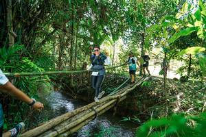 BIB: 
                            <button type="button" onclick="openModal(26291395)" class="btn btn-primary btn-sm float-right btn-popup" data-toggle="modal" data-target=".modal-high-quality">
                        <i class="fas fa-shopping-cart"></i> Add to Cart
                    </button>
                                            <button type="button" onclick="isThisMe(26291395, true)" class="btn btn-success btn-sm float-right btn-popup btn-isme hidden" data-toggle="tooltip" data-placement="bottom" title="นี่คือรูปของคุณใช่ไหม คลิกที่นี่เพื่อเอาเข้าอัลบั้ม">
                        <i class="fas fa-plus"></i> Add to album
                    </button>
                    <button type="button" onclick="isThisMe(26291395, false)" class="btn btn-warning btn-sm float-right btn-popup btn-isnotme hidden">
                        <i class="fas fa-ban"></i> Remove from album
                    </button>