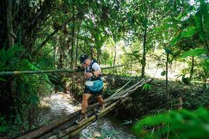 BIB: 
                            <button type="button" onclick="openModal(26289599)" class="btn btn-primary btn-sm float-right btn-popup" data-toggle="modal" data-target=".modal-high-quality">
                        <i class="fas fa-shopping-cart"></i> Add to Cart
                    </button>
                                            <button type="button" onclick="isThisMe(26289599, true)" class="btn btn-success btn-sm float-right btn-popup btn-isme hidden" data-toggle="tooltip" data-placement="bottom" title="นี่คือรูปของคุณใช่ไหม คลิกที่นี่เพื่อเอาเข้าอัลบั้ม">
                        <i class="fas fa-plus"></i> Add to album
                    </button>
                    <button type="button" onclick="isThisMe(26289599, false)" class="btn btn-warning btn-sm float-right btn-popup btn-isnotme hidden">
                        <i class="fas fa-ban"></i> Remove from album
                    </button>