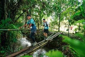 BIB: 
                            <button type="button" onclick="openModal(26288564)" class="btn btn-primary btn-sm float-right btn-popup" data-toggle="modal" data-target=".modal-high-quality">
                        <i class="fas fa-shopping-cart"></i> Add to Cart
                    </button>
                                            <button type="button" onclick="isThisMe(26288564, true)" class="btn btn-success btn-sm float-right btn-popup btn-isme hidden" data-toggle="tooltip" data-placement="bottom" title="นี่คือรูปของคุณใช่ไหม คลิกที่นี่เพื่อเอาเข้าอัลบั้ม">
                        <i class="fas fa-plus"></i> Add to album
                    </button>
                    <button type="button" onclick="isThisMe(26288564, false)" class="btn btn-warning btn-sm float-right btn-popup btn-isnotme hidden">
                        <i class="fas fa-ban"></i> Remove from album
                    </button>