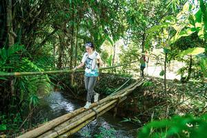 BIB: 
                            <button type="button" onclick="openModal(26291661)" class="btn btn-primary btn-sm float-right btn-popup" data-toggle="modal" data-target=".modal-high-quality">
                        <i class="fas fa-shopping-cart"></i> Add to Cart
                    </button>
                                            <button type="button" onclick="isThisMe(26291661, true)" class="btn btn-success btn-sm float-right btn-popup btn-isme hidden" data-toggle="tooltip" data-placement="bottom" title="นี่คือรูปของคุณใช่ไหม คลิกที่นี่เพื่อเอาเข้าอัลบั้ม">
                        <i class="fas fa-plus"></i> Add to album
                    </button>
                    <button type="button" onclick="isThisMe(26291661, false)" class="btn btn-warning btn-sm float-right btn-popup btn-isnotme hidden">
                        <i class="fas fa-ban"></i> Remove from album
                    </button>