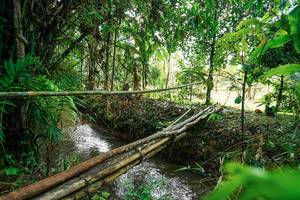 BIB: 
                            <button type="button" onclick="openModal(26288598)" class="btn btn-primary btn-sm float-right btn-popup" data-toggle="modal" data-target=".modal-high-quality">
                        <i class="fas fa-shopping-cart"></i> Add to Cart
                    </button>
                                            <button type="button" onclick="isThisMe(26288598, true)" class="btn btn-success btn-sm float-right btn-popup btn-isme hidden" data-toggle="tooltip" data-placement="bottom" title="นี่คือรูปของคุณใช่ไหม คลิกที่นี่เพื่อเอาเข้าอัลบั้ม">
                        <i class="fas fa-plus"></i> Add to album
                    </button>
                    <button type="button" onclick="isThisMe(26288598, false)" class="btn btn-warning btn-sm float-right btn-popup btn-isnotme hidden">
                        <i class="fas fa-ban"></i> Remove from album
                    </button>