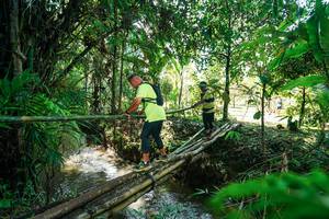 BIB: 
                            <button type="button" onclick="openModal(26289509)" class="btn btn-primary btn-sm float-right btn-popup" data-toggle="modal" data-target=".modal-high-quality">
                        <i class="fas fa-shopping-cart"></i> Add to Cart
                    </button>
                                            <button type="button" onclick="isThisMe(26289509, true)" class="btn btn-success btn-sm float-right btn-popup btn-isme hidden" data-toggle="tooltip" data-placement="bottom" title="นี่คือรูปของคุณใช่ไหม คลิกที่นี่เพื่อเอาเข้าอัลบั้ม">
                        <i class="fas fa-plus"></i> Add to album
                    </button>
                    <button type="button" onclick="isThisMe(26289509, false)" class="btn btn-warning btn-sm float-right btn-popup btn-isnotme hidden">
                        <i class="fas fa-ban"></i> Remove from album
                    </button>