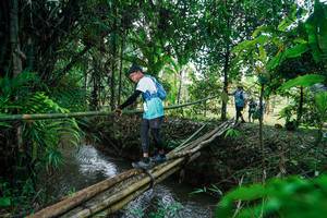 BIB: 
                            <button type="button" onclick="openModal(26290528)" class="btn btn-primary btn-sm float-right btn-popup" data-toggle="modal" data-target=".modal-high-quality">
                        <i class="fas fa-shopping-cart"></i> Add to Cart
                    </button>
                                            <button type="button" onclick="isThisMe(26290528, true)" class="btn btn-success btn-sm float-right btn-popup btn-isme hidden" data-toggle="tooltip" data-placement="bottom" title="นี่คือรูปของคุณใช่ไหม คลิกที่นี่เพื่อเอาเข้าอัลบั้ม">
                        <i class="fas fa-plus"></i> Add to album
                    </button>
                    <button type="button" onclick="isThisMe(26290528, false)" class="btn btn-warning btn-sm float-right btn-popup btn-isnotme hidden">
                        <i class="fas fa-ban"></i> Remove from album
                    </button>