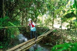 BIB: 
                            <button type="button" onclick="openModal(26291682)" class="btn btn-primary btn-sm float-right btn-popup" data-toggle="modal" data-target=".modal-high-quality">
                        <i class="fas fa-shopping-cart"></i> Add to Cart
                    </button>
                                            <button type="button" onclick="isThisMe(26291682, true)" class="btn btn-success btn-sm float-right btn-popup btn-isme hidden" data-toggle="tooltip" data-placement="bottom" title="นี่คือรูปของคุณใช่ไหม คลิกที่นี่เพื่อเอาเข้าอัลบั้ม">
                        <i class="fas fa-plus"></i> Add to album
                    </button>
                    <button type="button" onclick="isThisMe(26291682, false)" class="btn btn-warning btn-sm float-right btn-popup btn-isnotme hidden">
                        <i class="fas fa-ban"></i> Remove from album
                    </button>