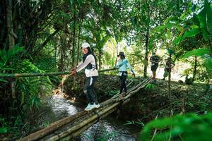 BIB: 
                            <button type="button" onclick="openModal(26290201)" class="btn btn-primary btn-sm float-right btn-popup" data-toggle="modal" data-target=".modal-high-quality">
                        <i class="fas fa-shopping-cart"></i> Add to Cart
                    </button>
                                            <button type="button" onclick="isThisMe(26290201, true)" class="btn btn-success btn-sm float-right btn-popup btn-isme hidden" data-toggle="tooltip" data-placement="bottom" title="นี่คือรูปของคุณใช่ไหม คลิกที่นี่เพื่อเอาเข้าอัลบั้ม">
                        <i class="fas fa-plus"></i> Add to album
                    </button>
                    <button type="button" onclick="isThisMe(26290201, false)" class="btn btn-warning btn-sm float-right btn-popup btn-isnotme hidden">
                        <i class="fas fa-ban"></i> Remove from album
                    </button>