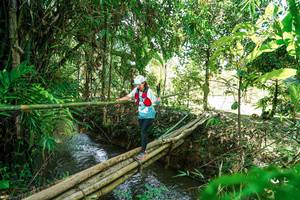 BIB: 
                            <button type="button" onclick="openModal(26291668)" class="btn btn-primary btn-sm float-right btn-popup" data-toggle="modal" data-target=".modal-high-quality">
                        <i class="fas fa-shopping-cart"></i> Add to Cart
                    </button>
                                            <button type="button" onclick="isThisMe(26291668, true)" class="btn btn-success btn-sm float-right btn-popup btn-isme hidden" data-toggle="tooltip" data-placement="bottom" title="นี่คือรูปของคุณใช่ไหม คลิกที่นี่เพื่อเอาเข้าอัลบั้ม">
                        <i class="fas fa-plus"></i> Add to album
                    </button>
                    <button type="button" onclick="isThisMe(26291668, false)" class="btn btn-warning btn-sm float-right btn-popup btn-isnotme hidden">
                        <i class="fas fa-ban"></i> Remove from album
                    </button>