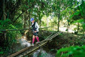 BIB: 
                            <button type="button" onclick="openModal(26290044)" class="btn btn-primary btn-sm float-right btn-popup" data-toggle="modal" data-target=".modal-high-quality">
                        <i class="fas fa-shopping-cart"></i> Add to Cart
                    </button>
                                            <button type="button" onclick="isThisMe(26290044, true)" class="btn btn-success btn-sm float-right btn-popup btn-isme hidden" data-toggle="tooltip" data-placement="bottom" title="นี่คือรูปของคุณใช่ไหม คลิกที่นี่เพื่อเอาเข้าอัลบั้ม">
                        <i class="fas fa-plus"></i> Add to album
                    </button>
                    <button type="button" onclick="isThisMe(26290044, false)" class="btn btn-warning btn-sm float-right btn-popup btn-isnotme hidden">
                        <i class="fas fa-ban"></i> Remove from album
                    </button>