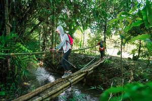 BIB: 
                            <button type="button" onclick="openModal(26290637)" class="btn btn-primary btn-sm float-right btn-popup" data-toggle="modal" data-target=".modal-high-quality">
                        <i class="fas fa-shopping-cart"></i> Add to Cart
                    </button>
                                            <button type="button" onclick="isThisMe(26290637, true)" class="btn btn-success btn-sm float-right btn-popup btn-isme hidden" data-toggle="tooltip" data-placement="bottom" title="นี่คือรูปของคุณใช่ไหม คลิกที่นี่เพื่อเอาเข้าอัลบั้ม">
                        <i class="fas fa-plus"></i> Add to album
                    </button>
                    <button type="button" onclick="isThisMe(26290637, false)" class="btn btn-warning btn-sm float-right btn-popup btn-isnotme hidden">
                        <i class="fas fa-ban"></i> Remove from album
                    </button>