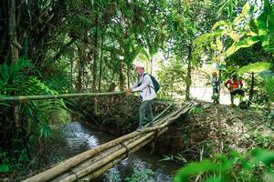 BIB: 
                            <button type="button" onclick="openModal(26291725)" class="btn btn-primary btn-sm float-right btn-popup" data-toggle="modal" data-target=".modal-high-quality">
                        <i class="fas fa-shopping-cart"></i> Add to Cart
                    </button>
                                            <button type="button" onclick="isThisMe(26291725, true)" class="btn btn-success btn-sm float-right btn-popup btn-isme hidden" data-toggle="tooltip" data-placement="bottom" title="นี่คือรูปของคุณใช่ไหม คลิกที่นี่เพื่อเอาเข้าอัลบั้ม">
                        <i class="fas fa-plus"></i> Add to album
                    </button>
                    <button type="button" onclick="isThisMe(26291725, false)" class="btn btn-warning btn-sm float-right btn-popup btn-isnotme hidden">
                        <i class="fas fa-ban"></i> Remove from album
                    </button>