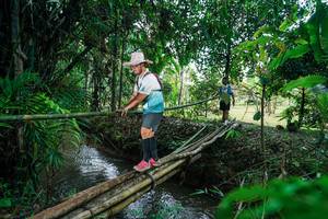 BIB: 
                            <button type="button" onclick="openModal(26290520)" class="btn btn-primary btn-sm float-right btn-popup" data-toggle="modal" data-target=".modal-high-quality">
                        <i class="fas fa-shopping-cart"></i> Add to Cart
                    </button>
                                            <button type="button" onclick="isThisMe(26290520, true)" class="btn btn-success btn-sm float-right btn-popup btn-isme hidden" data-toggle="tooltip" data-placement="bottom" title="นี่คือรูปของคุณใช่ไหม คลิกที่นี่เพื่อเอาเข้าอัลบั้ม">
                        <i class="fas fa-plus"></i> Add to album
                    </button>
                    <button type="button" onclick="isThisMe(26290520, false)" class="btn btn-warning btn-sm float-right btn-popup btn-isnotme hidden">
                        <i class="fas fa-ban"></i> Remove from album
                    </button>