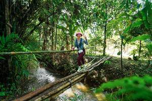 BIB: 
                            <button type="button" onclick="openModal(26289052)" class="btn btn-primary btn-sm float-right btn-popup" data-toggle="modal" data-target=".modal-high-quality">
                        <i class="fas fa-shopping-cart"></i> Add to Cart
                    </button>
                                            <button type="button" onclick="isThisMe(26289052, true)" class="btn btn-success btn-sm float-right btn-popup btn-isme hidden" data-toggle="tooltip" data-placement="bottom" title="นี่คือรูปของคุณใช่ไหม คลิกที่นี่เพื่อเอาเข้าอัลบั้ม">
                        <i class="fas fa-plus"></i> Add to album
                    </button>
                    <button type="button" onclick="isThisMe(26289052, false)" class="btn btn-warning btn-sm float-right btn-popup btn-isnotme hidden">
                        <i class="fas fa-ban"></i> Remove from album
                    </button>