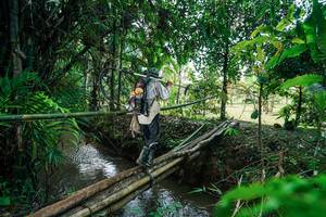 BIB: 
                            <button type="button" onclick="openModal(26290565)" class="btn btn-primary btn-sm float-right btn-popup" data-toggle="modal" data-target=".modal-high-quality">
                        <i class="fas fa-shopping-cart"></i> Add to Cart
                    </button>
                                            <button type="button" onclick="isThisMe(26290565, true)" class="btn btn-success btn-sm float-right btn-popup btn-isme hidden" data-toggle="tooltip" data-placement="bottom" title="นี่คือรูปของคุณใช่ไหม คลิกที่นี่เพื่อเอาเข้าอัลบั้ม">
                        <i class="fas fa-plus"></i> Add to album
                    </button>
                    <button type="button" onclick="isThisMe(26290565, false)" class="btn btn-warning btn-sm float-right btn-popup btn-isnotme hidden">
                        <i class="fas fa-ban"></i> Remove from album
                    </button>