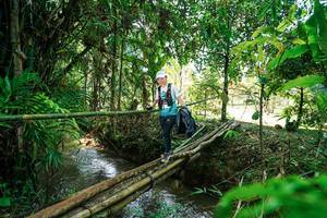 BIB: 
                            <button type="button" onclick="openModal(26290453)" class="btn btn-primary btn-sm float-right btn-popup" data-toggle="modal" data-target=".modal-high-quality">
                        <i class="fas fa-shopping-cart"></i> Add to Cart
                    </button>
                                            <button type="button" onclick="isThisMe(26290453, true)" class="btn btn-success btn-sm float-right btn-popup btn-isme hidden" data-toggle="tooltip" data-placement="bottom" title="นี่คือรูปของคุณใช่ไหม คลิกที่นี่เพื่อเอาเข้าอัลบั้ม">
                        <i class="fas fa-plus"></i> Add to album
                    </button>
                    <button type="button" onclick="isThisMe(26290453, false)" class="btn btn-warning btn-sm float-right btn-popup btn-isnotme hidden">
                        <i class="fas fa-ban"></i> Remove from album
                    </button>