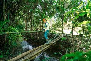 BIB: 
                            <button type="button" onclick="openModal(26291265)" class="btn btn-primary btn-sm float-right btn-popup" data-toggle="modal" data-target=".modal-high-quality">
                        <i class="fas fa-shopping-cart"></i> Add to Cart
                    </button>
                                            <button type="button" onclick="isThisMe(26291265, true)" class="btn btn-success btn-sm float-right btn-popup btn-isme hidden" data-toggle="tooltip" data-placement="bottom" title="นี่คือรูปของคุณใช่ไหม คลิกที่นี่เพื่อเอาเข้าอัลบั้ม">
                        <i class="fas fa-plus"></i> Add to album
                    </button>
                    <button type="button" onclick="isThisMe(26291265, false)" class="btn btn-warning btn-sm float-right btn-popup btn-isnotme hidden">
                        <i class="fas fa-ban"></i> Remove from album
                    </button>