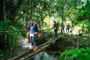 BIB: 
                            <button type="button" onclick="openModal(26289971)" class="btn btn-primary btn-sm float-right btn-popup" data-toggle="modal" data-target=".modal-high-quality">
                        <i class="fas fa-shopping-cart"></i> Add to Cart
                    </button>
                                            <button type="button" onclick="isThisMe(26289971, true)" class="btn btn-success btn-sm float-right btn-popup btn-isme hidden" data-toggle="tooltip" data-placement="bottom" title="นี่คือรูปของคุณใช่ไหม คลิกที่นี่เพื่อเอาเข้าอัลบั้ม">
                        <i class="fas fa-plus"></i> Add to album
                    </button>
                    <button type="button" onclick="isThisMe(26289971, false)" class="btn btn-warning btn-sm float-right btn-popup btn-isnotme hidden">
                        <i class="fas fa-ban"></i> Remove from album
                    </button>