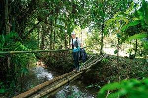 BIB: 
                            <button type="button" onclick="openModal(26290452)" class="btn btn-primary btn-sm float-right btn-popup" data-toggle="modal" data-target=".modal-high-quality">
                        <i class="fas fa-shopping-cart"></i> Add to Cart
                    </button>
                                            <button type="button" onclick="isThisMe(26290452, true)" class="btn btn-success btn-sm float-right btn-popup btn-isme hidden" data-toggle="tooltip" data-placement="bottom" title="นี่คือรูปของคุณใช่ไหม คลิกที่นี่เพื่อเอาเข้าอัลบั้ม">
                        <i class="fas fa-plus"></i> Add to album
                    </button>
                    <button type="button" onclick="isThisMe(26290452, false)" class="btn btn-warning btn-sm float-right btn-popup btn-isnotme hidden">
                        <i class="fas fa-ban"></i> Remove from album
                    </button>