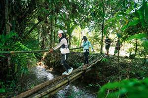 BIB: 
                            <button type="button" onclick="openModal(26290200)" class="btn btn-primary btn-sm float-right btn-popup" data-toggle="modal" data-target=".modal-high-quality">
                        <i class="fas fa-shopping-cart"></i> Add to Cart
                    </button>
                                            <button type="button" onclick="isThisMe(26290200, true)" class="btn btn-success btn-sm float-right btn-popup btn-isme hidden" data-toggle="tooltip" data-placement="bottom" title="นี่คือรูปของคุณใช่ไหม คลิกที่นี่เพื่อเอาเข้าอัลบั้ม">
                        <i class="fas fa-plus"></i> Add to album
                    </button>
                    <button type="button" onclick="isThisMe(26290200, false)" class="btn btn-warning btn-sm float-right btn-popup btn-isnotme hidden">
                        <i class="fas fa-ban"></i> Remove from album
                    </button>