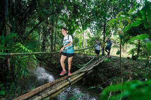 BIB: 
                            <button type="button" onclick="openModal(26290511)" class="btn btn-primary btn-sm float-right btn-popup" data-toggle="modal" data-target=".modal-high-quality">
                        <i class="fas fa-shopping-cart"></i> Add to Cart
                    </button>
                                            <button type="button" onclick="isThisMe(26290511, true)" class="btn btn-success btn-sm float-right btn-popup btn-isme hidden" data-toggle="tooltip" data-placement="bottom" title="นี่คือรูปของคุณใช่ไหม คลิกที่นี่เพื่อเอาเข้าอัลบั้ม">
                        <i class="fas fa-plus"></i> Add to album
                    </button>
                    <button type="button" onclick="isThisMe(26290511, false)" class="btn btn-warning btn-sm float-right btn-popup btn-isnotme hidden">
                        <i class="fas fa-ban"></i> Remove from album
                    </button>