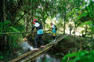 BIB: 
                            <button type="button" onclick="openModal(26290598)" class="btn btn-primary btn-sm float-right btn-popup" data-toggle="modal" data-target=".modal-high-quality">
                        <i class="fas fa-shopping-cart"></i> Add to Cart
                    </button>
                                            <button type="button" onclick="isThisMe(26290598, true)" class="btn btn-success btn-sm float-right btn-popup btn-isme hidden" data-toggle="tooltip" data-placement="bottom" title="นี่คือรูปของคุณใช่ไหม คลิกที่นี่เพื่อเอาเข้าอัลบั้ม">
                        <i class="fas fa-plus"></i> Add to album
                    </button>
                    <button type="button" onclick="isThisMe(26290598, false)" class="btn btn-warning btn-sm float-right btn-popup btn-isnotme hidden">
                        <i class="fas fa-ban"></i> Remove from album
                    </button>