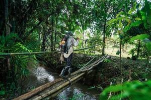 BIB: 
                            <button type="button" onclick="openModal(26290563)" class="btn btn-primary btn-sm float-right btn-popup" data-toggle="modal" data-target=".modal-high-quality">
                        <i class="fas fa-shopping-cart"></i> Add to Cart
                    </button>
                                            <button type="button" onclick="isThisMe(26290563, true)" class="btn btn-success btn-sm float-right btn-popup btn-isme hidden" data-toggle="tooltip" data-placement="bottom" title="นี่คือรูปของคุณใช่ไหม คลิกที่นี่เพื่อเอาเข้าอัลบั้ม">
                        <i class="fas fa-plus"></i> Add to album
                    </button>
                    <button type="button" onclick="isThisMe(26290563, false)" class="btn btn-warning btn-sm float-right btn-popup btn-isnotme hidden">
                        <i class="fas fa-ban"></i> Remove from album
                    </button>