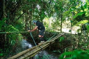 BIB: 
                            <button type="button" onclick="openModal(26290902)" class="btn btn-primary btn-sm float-right btn-popup" data-toggle="modal" data-target=".modal-high-quality">
                        <i class="fas fa-shopping-cart"></i> Add to Cart
                    </button>
                                            <button type="button" onclick="isThisMe(26290902, true)" class="btn btn-success btn-sm float-right btn-popup btn-isme hidden" data-toggle="tooltip" data-placement="bottom" title="นี่คือรูปของคุณใช่ไหม คลิกที่นี่เพื่อเอาเข้าอัลบั้ม">
                        <i class="fas fa-plus"></i> Add to album
                    </button>
                    <button type="button" onclick="isThisMe(26290902, false)" class="btn btn-warning btn-sm float-right btn-popup btn-isnotme hidden">
                        <i class="fas fa-ban"></i> Remove from album
                    </button>