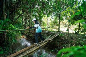 BIB: 
                            <button type="button" onclick="openModal(26290474)" class="btn btn-primary btn-sm float-right btn-popup" data-toggle="modal" data-target=".modal-high-quality">
                        <i class="fas fa-shopping-cart"></i> Add to Cart
                    </button>
                                            <button type="button" onclick="isThisMe(26290474, true)" class="btn btn-success btn-sm float-right btn-popup btn-isme hidden" data-toggle="tooltip" data-placement="bottom" title="นี่คือรูปของคุณใช่ไหม คลิกที่นี่เพื่อเอาเข้าอัลบั้ม">
                        <i class="fas fa-plus"></i> Add to album
                    </button>
                    <button type="button" onclick="isThisMe(26290474, false)" class="btn btn-warning btn-sm float-right btn-popup btn-isnotme hidden">
                        <i class="fas fa-ban"></i> Remove from album
                    </button>