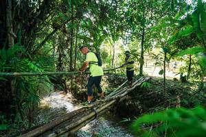 BIB: 
                            <button type="button" onclick="openModal(26289506)" class="btn btn-primary btn-sm float-right btn-popup" data-toggle="modal" data-target=".modal-high-quality">
                        <i class="fas fa-shopping-cart"></i> Add to Cart
                    </button>
                                            <button type="button" onclick="isThisMe(26289506, true)" class="btn btn-success btn-sm float-right btn-popup btn-isme hidden" data-toggle="tooltip" data-placement="bottom" title="นี่คือรูปของคุณใช่ไหม คลิกที่นี่เพื่อเอาเข้าอัลบั้ม">
                        <i class="fas fa-plus"></i> Add to album
                    </button>
                    <button type="button" onclick="isThisMe(26289506, false)" class="btn btn-warning btn-sm float-right btn-popup btn-isnotme hidden">
                        <i class="fas fa-ban"></i> Remove from album
                    </button>