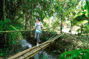 BIB: 
                            <button type="button" onclick="openModal(26291665)" class="btn btn-primary btn-sm float-right btn-popup" data-toggle="modal" data-target=".modal-high-quality">
                        <i class="fas fa-shopping-cart"></i> Add to Cart
                    </button>
                                            <button type="button" onclick="isThisMe(26291665, true)" class="btn btn-success btn-sm float-right btn-popup btn-isme hidden" data-toggle="tooltip" data-placement="bottom" title="นี่คือรูปของคุณใช่ไหม คลิกที่นี่เพื่อเอาเข้าอัลบั้ม">
                        <i class="fas fa-plus"></i> Add to album
                    </button>
                    <button type="button" onclick="isThisMe(26291665, false)" class="btn btn-warning btn-sm float-right btn-popup btn-isnotme hidden">
                        <i class="fas fa-ban"></i> Remove from album
                    </button>