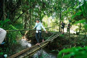 BIB: 
                            <button type="button" onclick="openModal(26290205)" class="btn btn-primary btn-sm float-right btn-popup" data-toggle="modal" data-target=".modal-high-quality">
                        <i class="fas fa-shopping-cart"></i> Add to Cart
                    </button>
                                            <button type="button" onclick="isThisMe(26290205, true)" class="btn btn-success btn-sm float-right btn-popup btn-isme hidden" data-toggle="tooltip" data-placement="bottom" title="นี่คือรูปของคุณใช่ไหม คลิกที่นี่เพื่อเอาเข้าอัลบั้ม">
                        <i class="fas fa-plus"></i> Add to album
                    </button>
                    <button type="button" onclick="isThisMe(26290205, false)" class="btn btn-warning btn-sm float-right btn-popup btn-isnotme hidden">
                        <i class="fas fa-ban"></i> Remove from album
                    </button>