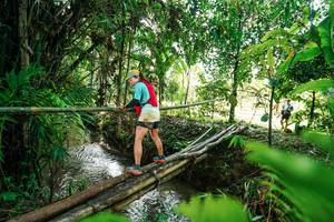 BIB: 
                            <button type="button" onclick="openModal(26288516)" class="btn btn-primary btn-sm float-right btn-popup" data-toggle="modal" data-target=".modal-high-quality">
                        <i class="fas fa-shopping-cart"></i> Add to Cart
                    </button>
                                            <button type="button" onclick="isThisMe(26288516, true)" class="btn btn-success btn-sm float-right btn-popup btn-isme hidden" data-toggle="tooltip" data-placement="bottom" title="นี่คือรูปของคุณใช่ไหม คลิกที่นี่เพื่อเอาเข้าอัลบั้ม">
                        <i class="fas fa-plus"></i> Add to album
                    </button>
                    <button type="button" onclick="isThisMe(26288516, false)" class="btn btn-warning btn-sm float-right btn-popup btn-isnotme hidden">
                        <i class="fas fa-ban"></i> Remove from album
                    </button>