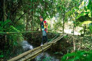 BIB: 
                            <button type="button" onclick="openModal(26291466)" class="btn btn-primary btn-sm float-right btn-popup" data-toggle="modal" data-target=".modal-high-quality">
                        <i class="fas fa-shopping-cart"></i> Add to Cart
                    </button>
                                            <button type="button" onclick="isThisMe(26291466, true)" class="btn btn-success btn-sm float-right btn-popup btn-isme hidden" data-toggle="tooltip" data-placement="bottom" title="นี่คือรูปของคุณใช่ไหม คลิกที่นี่เพื่อเอาเข้าอัลบั้ม">
                        <i class="fas fa-plus"></i> Add to album
                    </button>
                    <button type="button" onclick="isThisMe(26291466, false)" class="btn btn-warning btn-sm float-right btn-popup btn-isnotme hidden">
                        <i class="fas fa-ban"></i> Remove from album
                    </button>