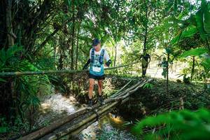 BIB: 
                            <button type="button" onclick="openModal(26289332)" class="btn btn-primary btn-sm float-right btn-popup" data-toggle="modal" data-target=".modal-high-quality">
                        <i class="fas fa-shopping-cart"></i> Add to Cart
                    </button>
                                            <button type="button" onclick="isThisMe(26289332, true)" class="btn btn-success btn-sm float-right btn-popup btn-isme hidden" data-toggle="tooltip" data-placement="bottom" title="นี่คือรูปของคุณใช่ไหม คลิกที่นี่เพื่อเอาเข้าอัลบั้ม">
                        <i class="fas fa-plus"></i> Add to album
                    </button>
                    <button type="button" onclick="isThisMe(26289332, false)" class="btn btn-warning btn-sm float-right btn-popup btn-isnotme hidden">
                        <i class="fas fa-ban"></i> Remove from album
                    </button>