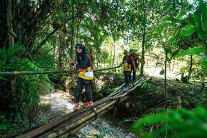 BIB: 
                            <button type="button" onclick="openModal(26289613)" class="btn btn-primary btn-sm float-right btn-popup" data-toggle="modal" data-target=".modal-high-quality">
                        <i class="fas fa-shopping-cart"></i> Add to Cart
                    </button>
                                            <button type="button" onclick="isThisMe(26289613, true)" class="btn btn-success btn-sm float-right btn-popup btn-isme hidden" data-toggle="tooltip" data-placement="bottom" title="นี่คือรูปของคุณใช่ไหม คลิกที่นี่เพื่อเอาเข้าอัลบั้ม">
                        <i class="fas fa-plus"></i> Add to album
                    </button>
                    <button type="button" onclick="isThisMe(26289613, false)" class="btn btn-warning btn-sm float-right btn-popup btn-isnotme hidden">
                        <i class="fas fa-ban"></i> Remove from album
                    </button>