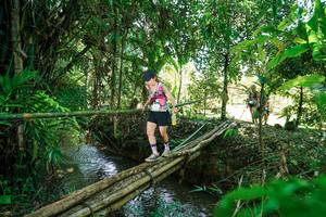 BIB: 
                            <button type="button" onclick="openModal(26290706)" class="btn btn-primary btn-sm float-right btn-popup" data-toggle="modal" data-target=".modal-high-quality">
                        <i class="fas fa-shopping-cart"></i> Add to Cart
                    </button>
                                            <button type="button" onclick="isThisMe(26290706, true)" class="btn btn-success btn-sm float-right btn-popup btn-isme hidden" data-toggle="tooltip" data-placement="bottom" title="นี่คือรูปของคุณใช่ไหม คลิกที่นี่เพื่อเอาเข้าอัลบั้ม">
                        <i class="fas fa-plus"></i> Add to album
                    </button>
                    <button type="button" onclick="isThisMe(26290706, false)" class="btn btn-warning btn-sm float-right btn-popup btn-isnotme hidden">
                        <i class="fas fa-ban"></i> Remove from album
                    </button>