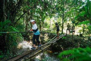 BIB: 
                            <button type="button" onclick="openModal(26289446)" class="btn btn-primary btn-sm float-right btn-popup" data-toggle="modal" data-target=".modal-high-quality">
                        <i class="fas fa-shopping-cart"></i> Add to Cart
                    </button>
                                            <button type="button" onclick="isThisMe(26289446, true)" class="btn btn-success btn-sm float-right btn-popup btn-isme hidden" data-toggle="tooltip" data-placement="bottom" title="นี่คือรูปของคุณใช่ไหม คลิกที่นี่เพื่อเอาเข้าอัลบั้ม">
                        <i class="fas fa-plus"></i> Add to album
                    </button>
                    <button type="button" onclick="isThisMe(26289446, false)" class="btn btn-warning btn-sm float-right btn-popup btn-isnotme hidden">
                        <i class="fas fa-ban"></i> Remove from album
                    </button>