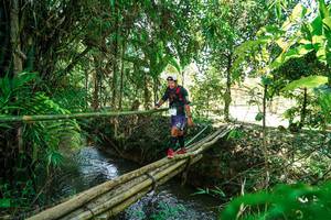 BIB: 
                            <button type="button" onclick="openModal(26291494)" class="btn btn-primary btn-sm float-right btn-popup" data-toggle="modal" data-target=".modal-high-quality">
                        <i class="fas fa-shopping-cart"></i> Add to Cart
                    </button>
                                            <button type="button" onclick="isThisMe(26291494, true)" class="btn btn-success btn-sm float-right btn-popup btn-isme hidden" data-toggle="tooltip" data-placement="bottom" title="นี่คือรูปของคุณใช่ไหม คลิกที่นี่เพื่อเอาเข้าอัลบั้ม">
                        <i class="fas fa-plus"></i> Add to album
                    </button>
                    <button type="button" onclick="isThisMe(26291494, false)" class="btn btn-warning btn-sm float-right btn-popup btn-isnotme hidden">
                        <i class="fas fa-ban"></i> Remove from album
                    </button>