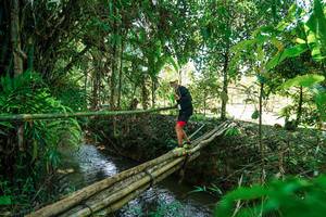 BIB: 
                            <button type="button" onclick="openModal(26290780)" class="btn btn-primary btn-sm float-right btn-popup" data-toggle="modal" data-target=".modal-high-quality">
                        <i class="fas fa-shopping-cart"></i> Add to Cart
                    </button>
                                            <button type="button" onclick="isThisMe(26290780, true)" class="btn btn-success btn-sm float-right btn-popup btn-isme hidden" data-toggle="tooltip" data-placement="bottom" title="นี่คือรูปของคุณใช่ไหม คลิกที่นี่เพื่อเอาเข้าอัลบั้ม">
                        <i class="fas fa-plus"></i> Add to album
                    </button>
                    <button type="button" onclick="isThisMe(26290780, false)" class="btn btn-warning btn-sm float-right btn-popup btn-isnotme hidden">
                        <i class="fas fa-ban"></i> Remove from album
                    </button>